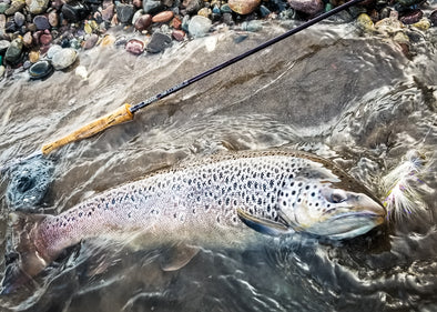 Get Your Streamer Game Ready for Big Fall Trout