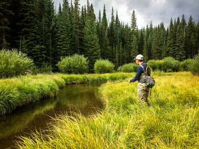 Summer Fly Fishing Tips: Exploring Wilderness Waters