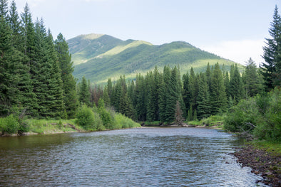 Get Started Spey Fishing for Trout